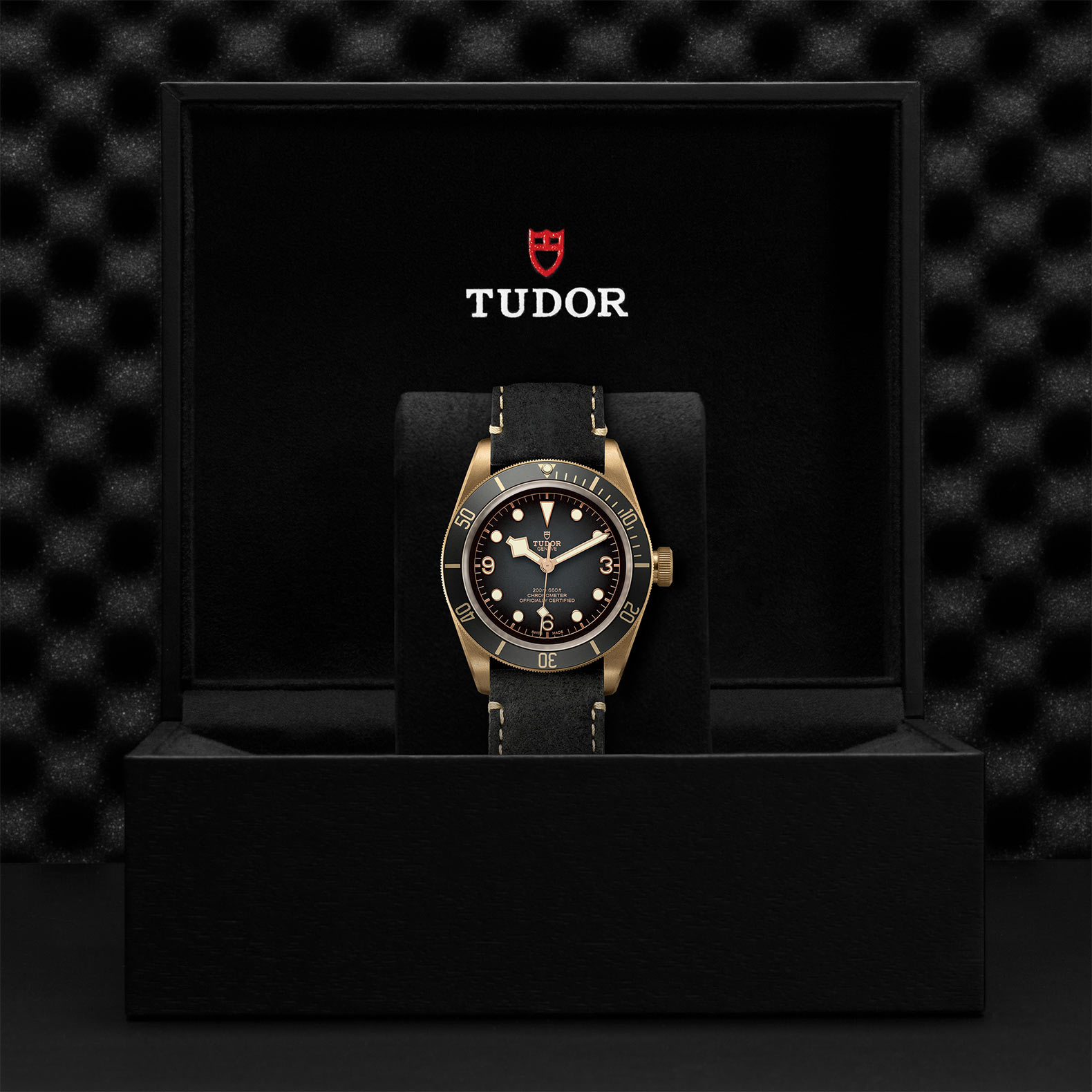 Uhren: Black Bay Bronze aus Bronze von TUDOR