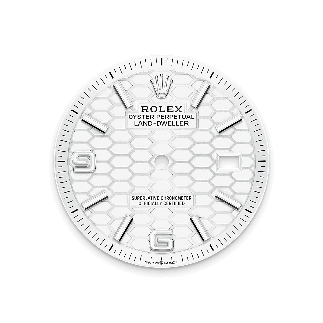 Land-Dweller 36 von Rolex