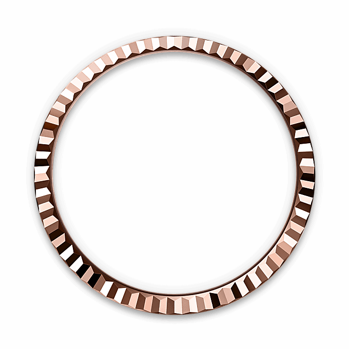 Land-Dweller 36 von Rolex