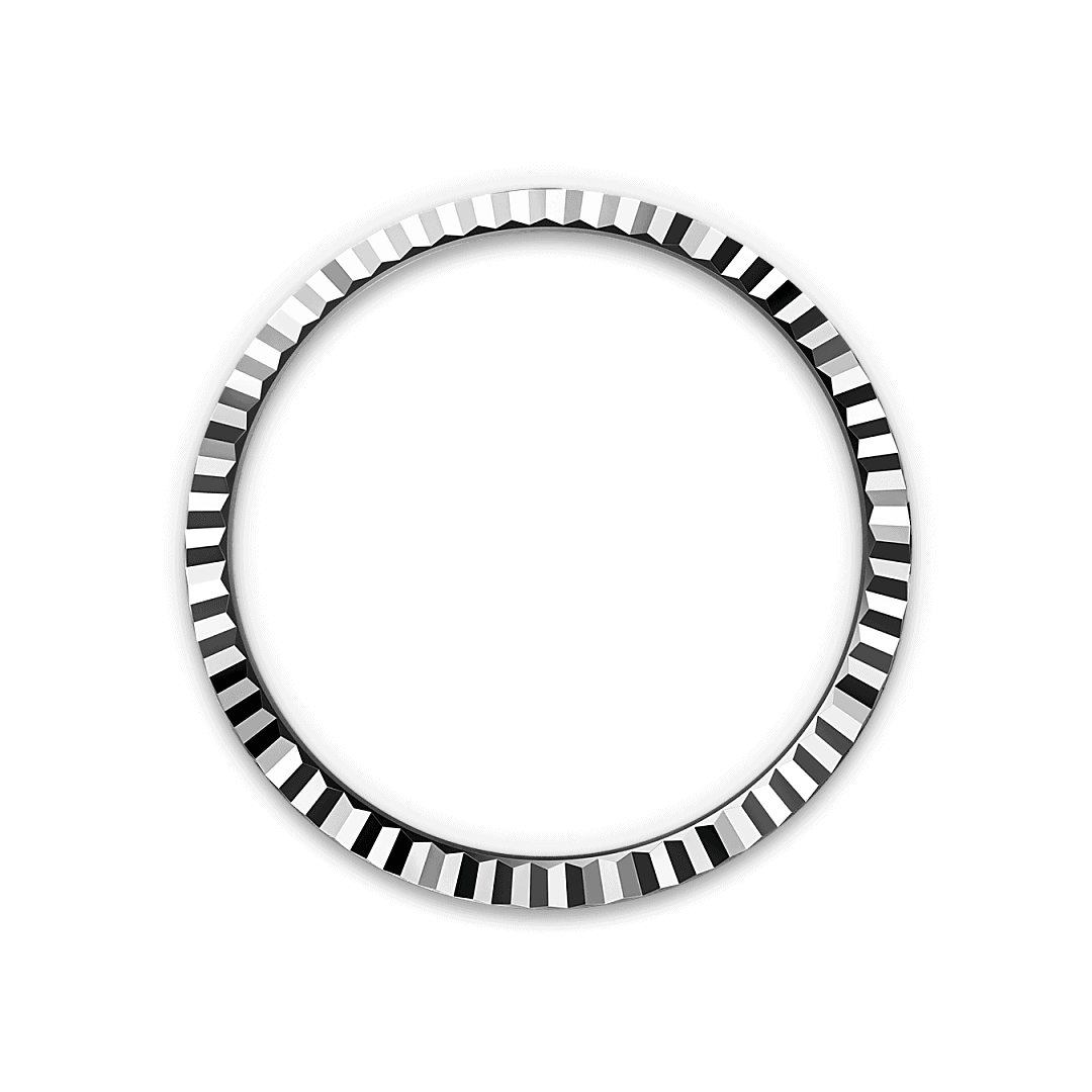 Land-Dweller 40 von Rolex