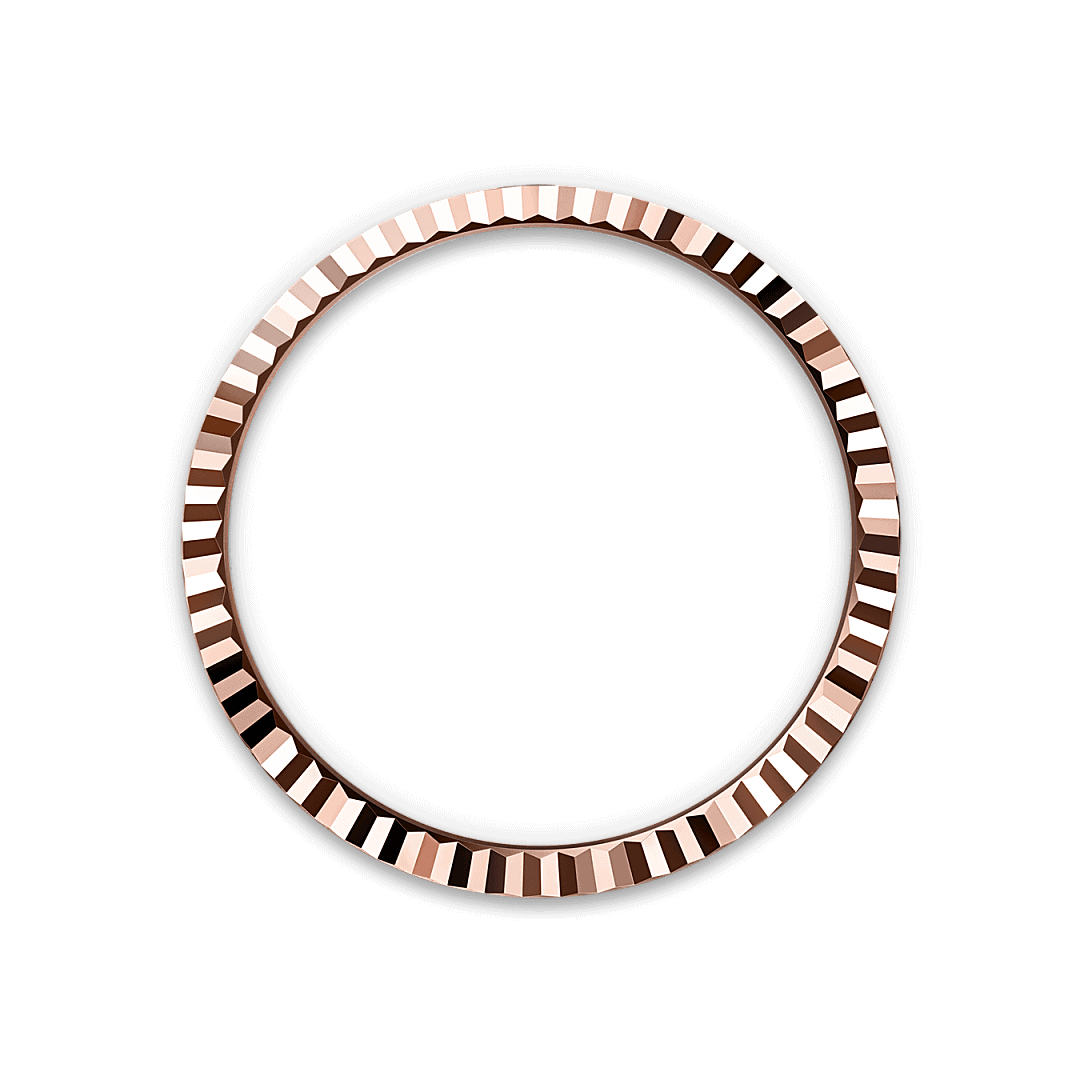 Land-Dweller 40 von Rolex