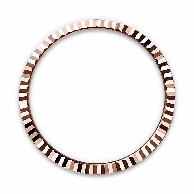 Land-Dweller 40 von Rolex