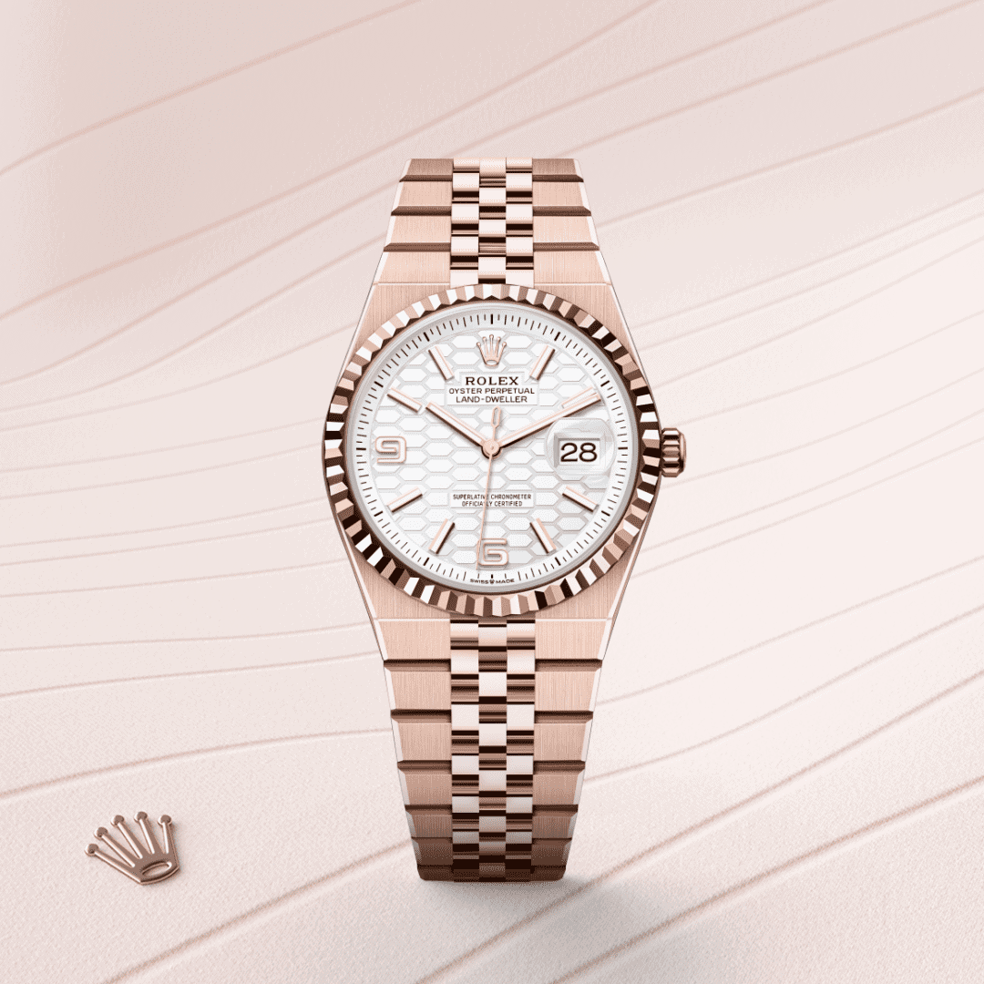 Rolex Land-Dweller 36 Oyster, 36 mm, Everose-Gold (M127235-0001) – Juwelier-Eckstein