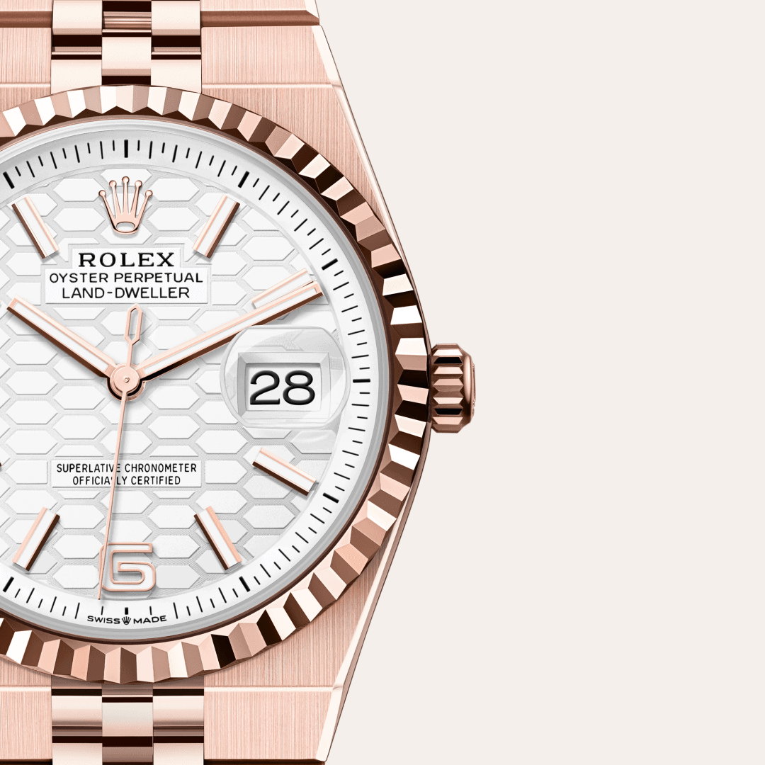 Rolex Land-Dweller 36 mit Zifferblatt Tiefweiß mit Wabenmuster (M127235-0001) – Juwelier-Eckstein