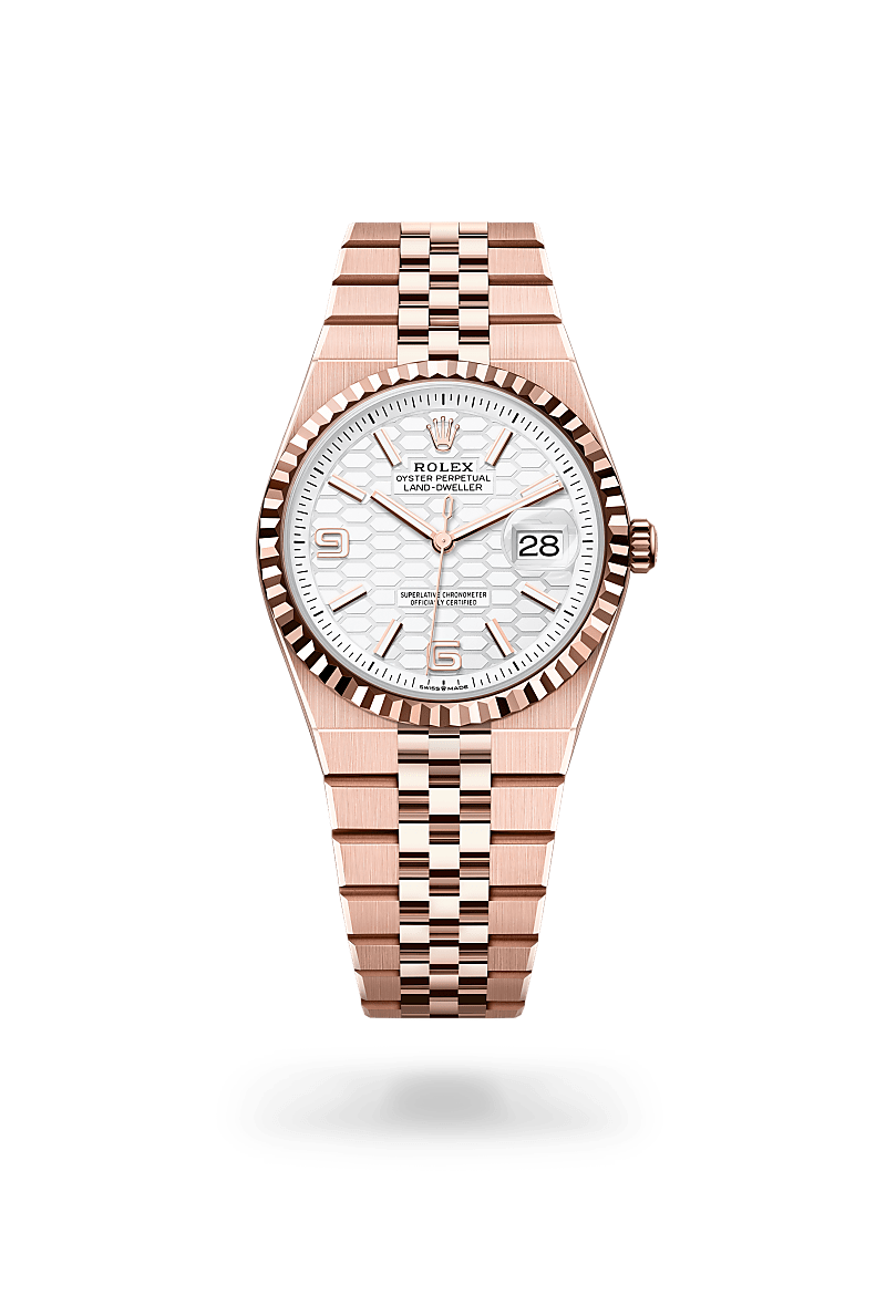 Rolex Land-Dweller 36 in 18 Karat Everose-Gold (M127235-0001) – Juwelier-Eckstein
