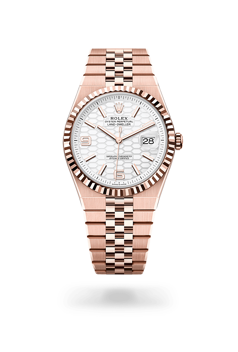 Rolex Land-Dweller 40 in 18 Karat Everose-Gold (M127335-0001) – Juwelier-Eckstein